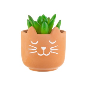 Mini Cat's Whiskers Terracotta Planter 3